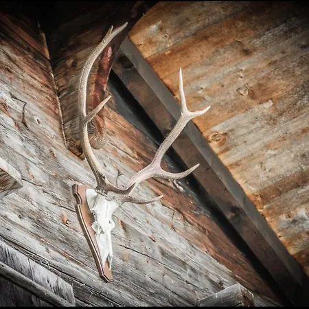 Semesterbostad Zum Stillen Unicum *