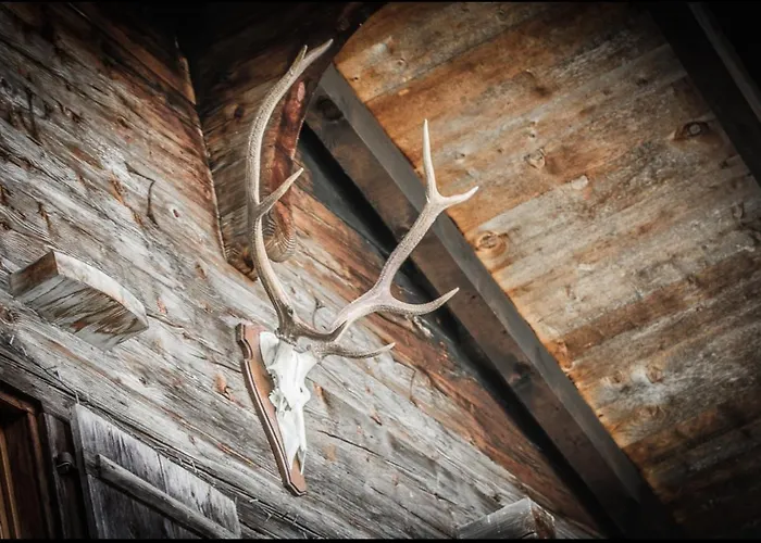 Feriehus Zum Stillen Unicum *